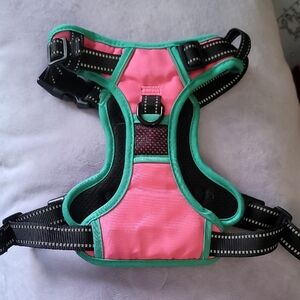 Pink and Green Dog Harness